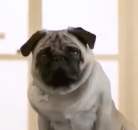 Screenshot 2021-06-02 at 15.10.28